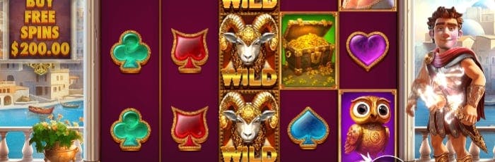 co online betting