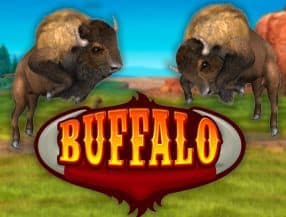bet online casino