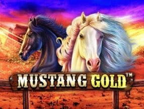 stake casino apk